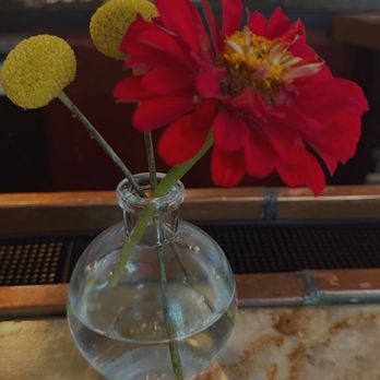 Olive & June - Italian Near Me - Austin, Texas Olive & June - Italian Near Me - Austin, Texas