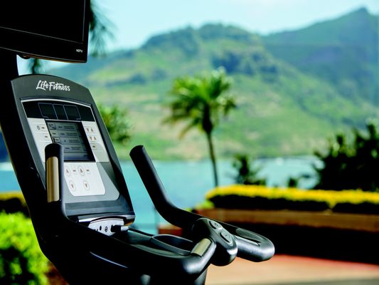 Marriott's Kauai Lagoons - Kalanipu'u by null