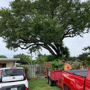 Spot Pond Tree Service - Spot Pond Tree Service - Tree Services Near Me - Deerfield Beach, Florida