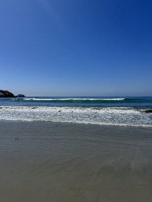 Sand Dollar Beach by null