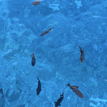Calypso Charters - Snorkeling Near Me - Wailuku, Hawaii