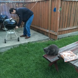 The Channing-Milvia Apartments - Many great memories barbecuing in the backyard of apartments.