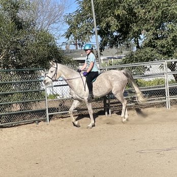 SK Equine Academy - Horseback Riding Near Me - Norco, California