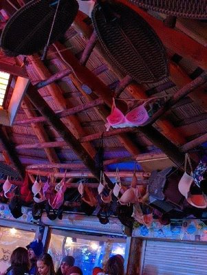 Palapa's by null