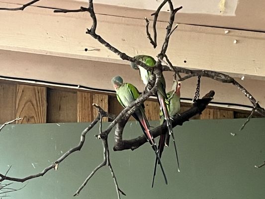 Healesville Sanctuary (Zoos Victoria) by null