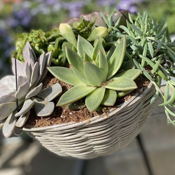 The Home Depot - Spring planting! - Hardware Stores Near Me - Fort Worth, Texas