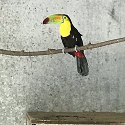 Emerald Forest Bird Gardens - Beautiful birds