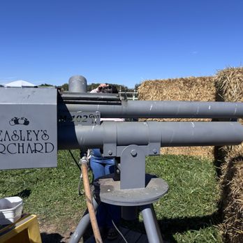 Beasley's Orchard - Apple Cannon - Farmers Market Near Me - Danville, Indiana