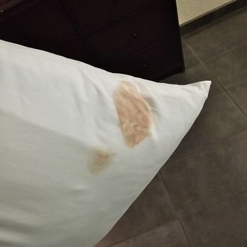 Hampton Inn Champaign/Urbana - Period blood stains - Hotels Near Me - Urbana, Illinois Hampton Inn Champaign/Urbana - Period blood stains - Hotels Near Me - Urbana, Illinois