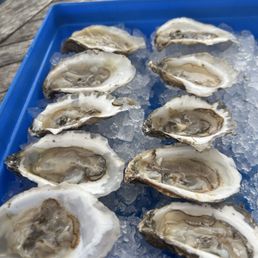 West Passage and Beavertail oysters on the half shell