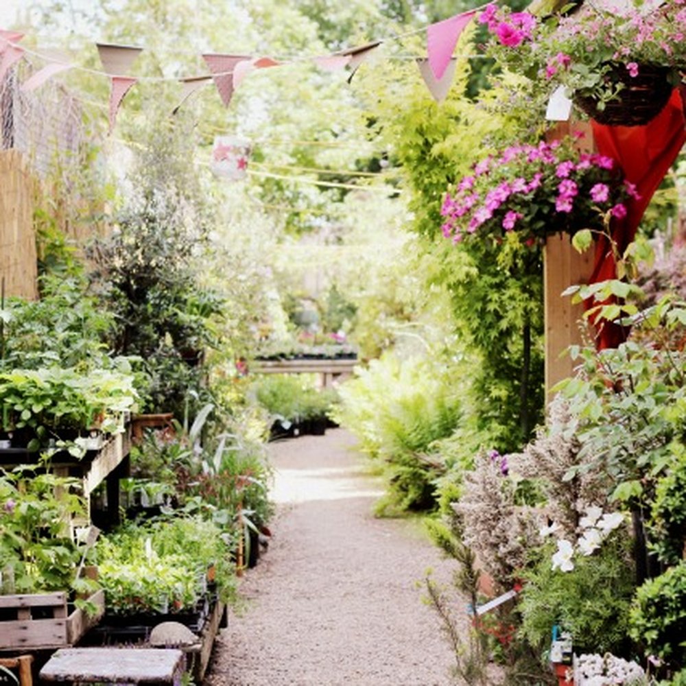 Evergreen Garden Center Banstead Fasci Garden