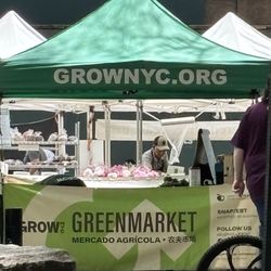Vendor
