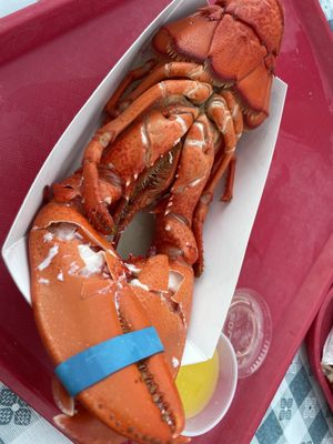 Roy Moore Lobster Company by null