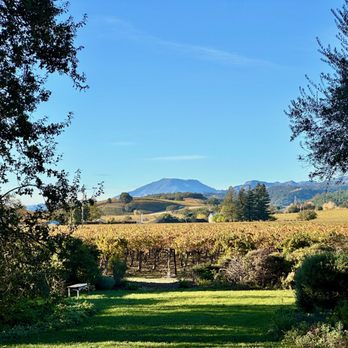 Frog's Leap Winery - Wineries Near Me - Rutherford, California Frog's Leap Winery - Wineries Near Me - Rutherford, California