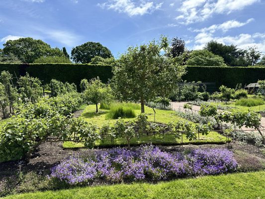 Royal Botanic Garden Edinburgh by null