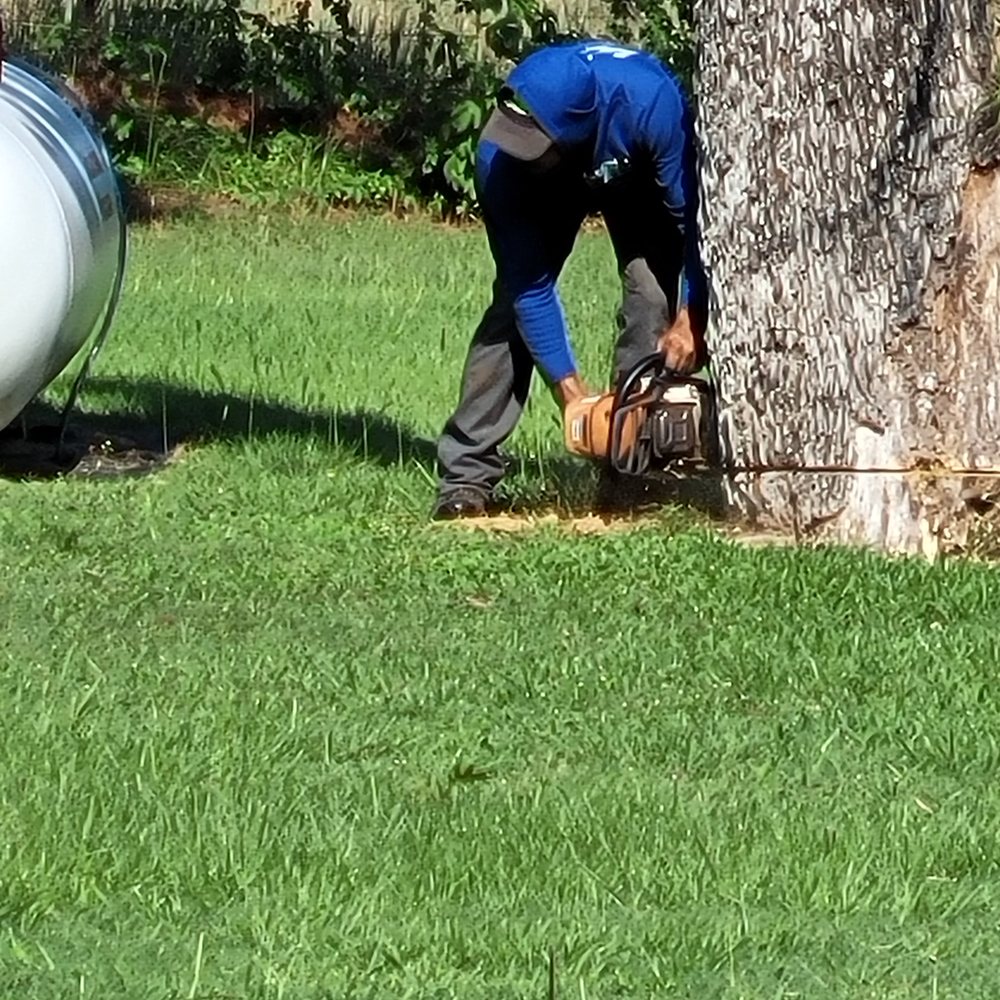 J. Efren Tree Service - Tree Services Near Me