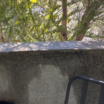 Crescent Heights - This was dirty kiddie pool water mixed with dirty aquarium water from Dale and his family - Apartments Near Me - Murrieta, California Crescent Heights - This was dirty kiddie pool water mixed with dirty aquarium water from Dale and his family - Apartments Near Me - Murrieta, California