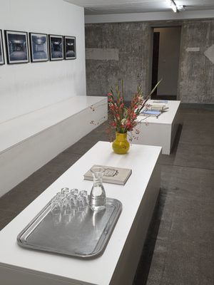 Boros Collection by null