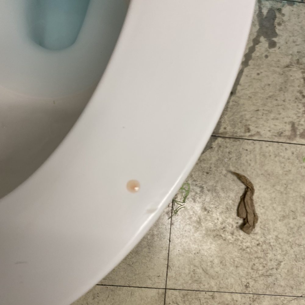 Dollar Tree - Blood on the toilet seat - Discount Store Near Me - Saint Augustine, Florida