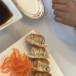 Seoul Garden - Dumplings