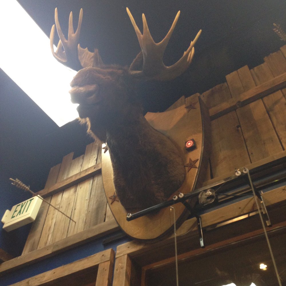 Jackson Hole Toy Store - Gun game!! This moose was hilarious when you hit it - Toy Stores Near Me - Jackson, Wyoming Jackson Hole Toy Store - Gun game!! This moose was hilarious when you hit it - Toy Stores Near Me - Jackson, Wyoming