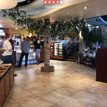 Breeze Bakery Cafe - Lovely - Bakeries Near Me - Annandale, Virginia