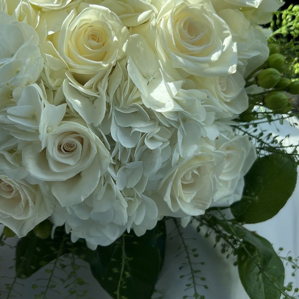 Sophia's Flowers - Florists Near Me - San Antonio, Texas Sophia's Flowers - Florists Near Me - San Antonio, Texas