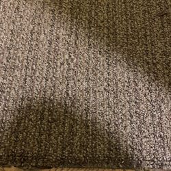 Optimum Flooring - New carpet in hall