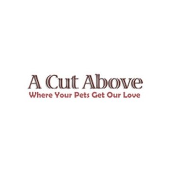 A Cut Above - Pet Groomers Near Me - Paso Robles, California