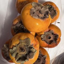 The Lemon Grove - Free persimmons