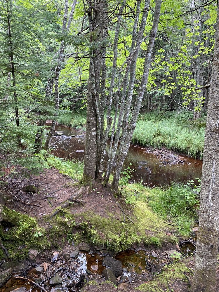 DOBSON TRAIL RIVERVIEW ENTRANCE 15 Photos 600 Pine Glen Road, Pine