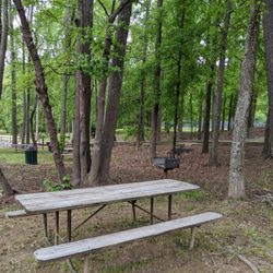 Baker's Creek Park - Baker’s Creek Park, Kannapolis NC