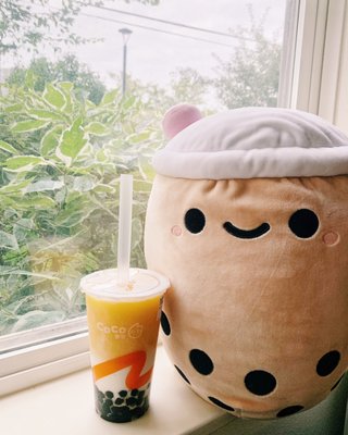CoCo Fresh Tea & Juice North Campus by null