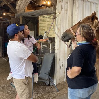 Galaxy Riding School - Grandkids having first up-close experience either horses! - Horseback Riding Near Me - Farmersville, Texas Galaxy Riding School - Grandkids having first up-close experience either horses! - Horseback Riding Near Me - Farmersville, Texas