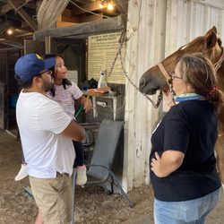 Galaxy Riding School - Grandkids having first up-close experience either horses!