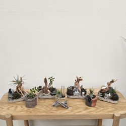 Craftyla Studio