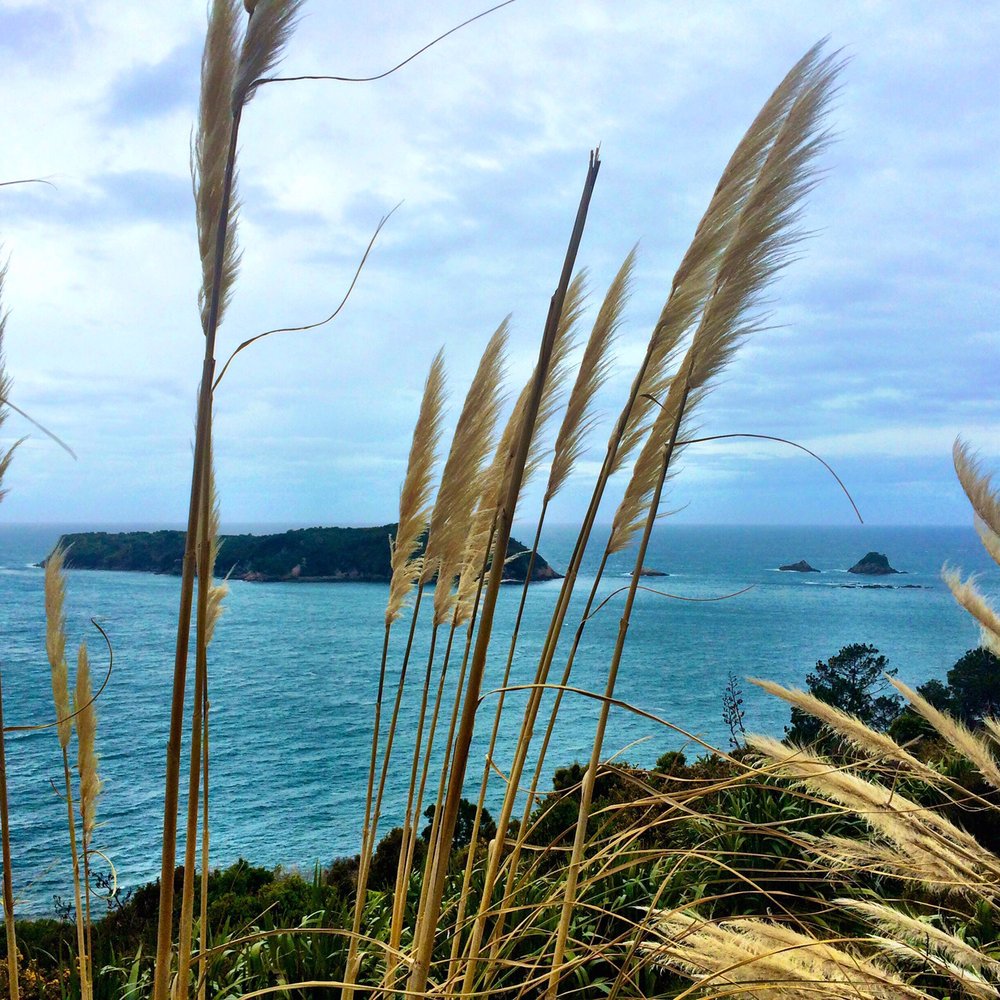 Cathedral Cove - Landmarks & Historical Buildings Near Me