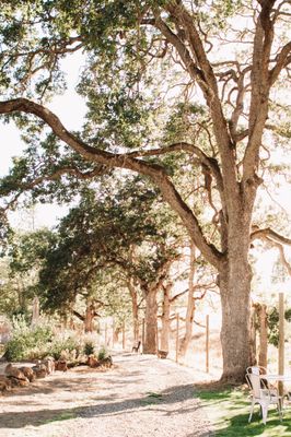 Syncline Winery by null