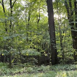 Blue Mound State Park