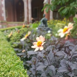 Queen's University