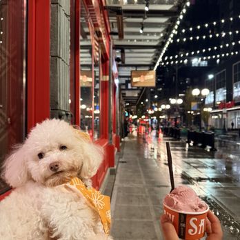 Salt & Straw - Ice Cream & Frozen Yogurt Near Me - Seattle, Washington Salt & Straw - Ice Cream & Frozen Yogurt Near Me - Seattle, Washington