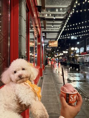 Salt & Straw by null