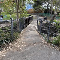 Bridge Bridge