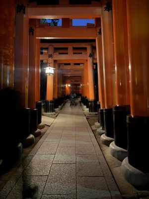 Fushimi Inari Taisha by null