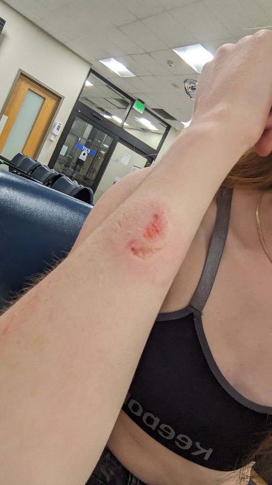 Domino's Pizza Domino's Pizza