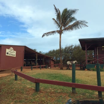 CJM Stables - Horseback Riding Near Me
