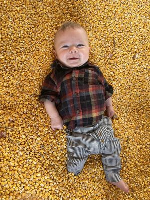 Dehns Pumpkins by null