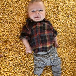 Dehn’s Pumpkin Patch