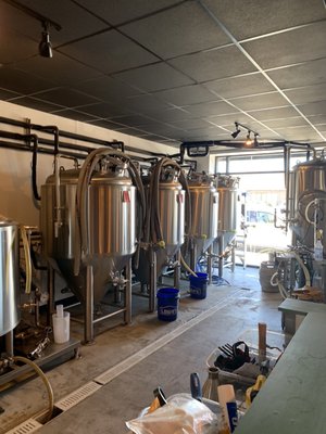 Local Oak Brewing Co. by null