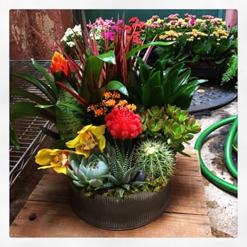 Brad Larsen Florals - Beautiful succulent garden. Great quality. - Florists Near Me - Pasadena, California